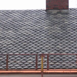 fishscale roofing slate 2