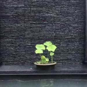 waterfall running slate panel 10