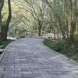 Blue Black Stepping Slate (8)