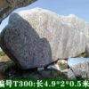 Taishan Stone Landscape Monolith (8)