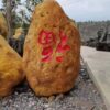 Yellow Wax Stone Landscape Case (5)