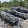 Black Stone Long Strip Big Stone Slice Landscape Stone (9)