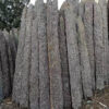 Natural Columnar Landscape Stone (2)