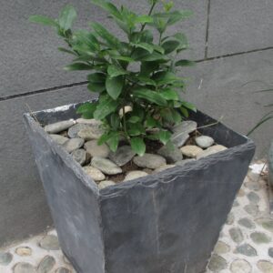 Slate Planter Pot (88)