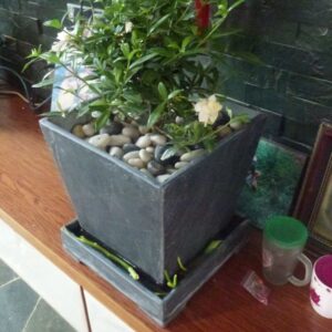 Slate Planter Pot (99)