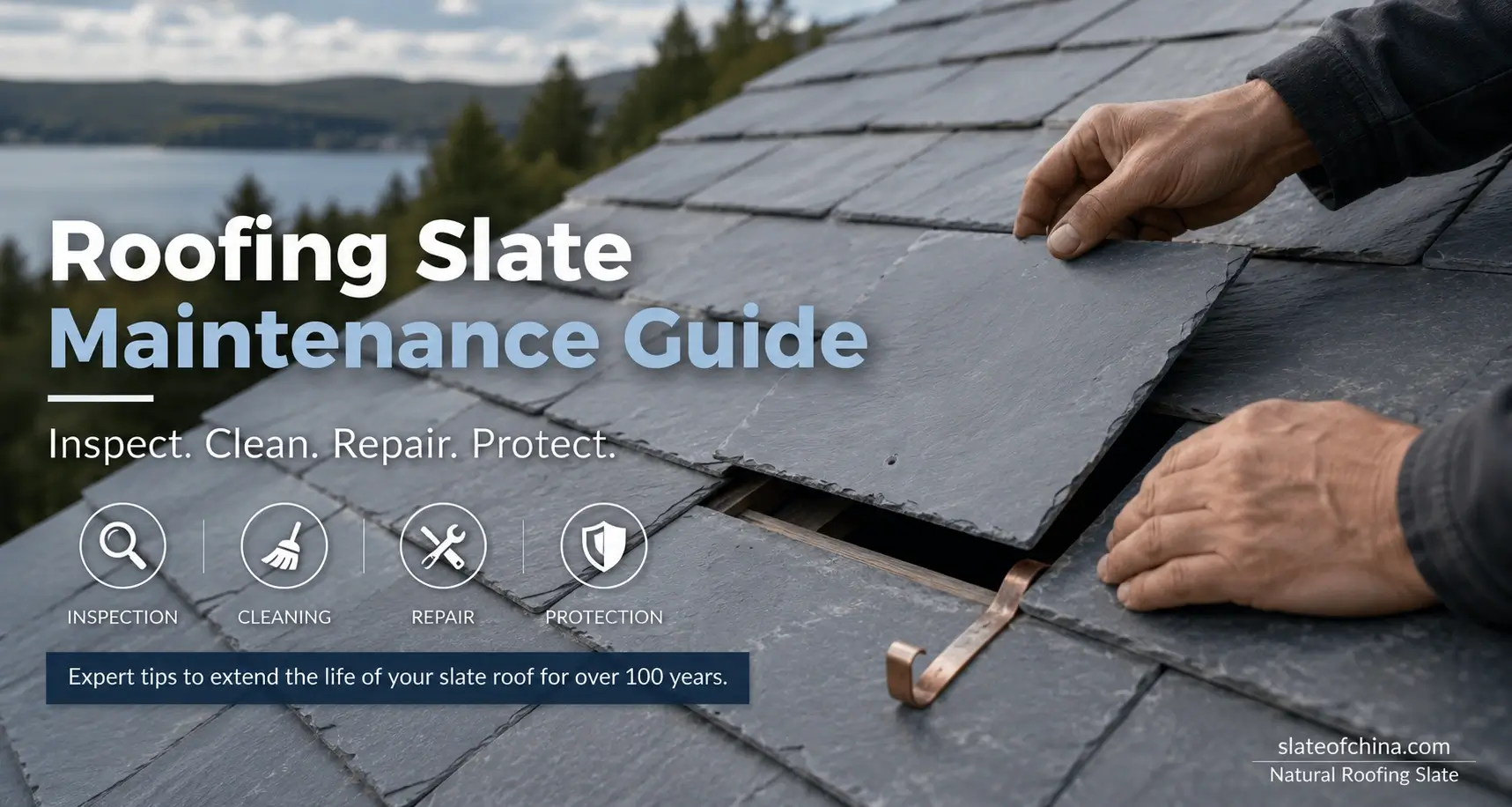 Roofing Slate Maintenance Guide showing professional inspection and replacement of a natural roofing slate tile.