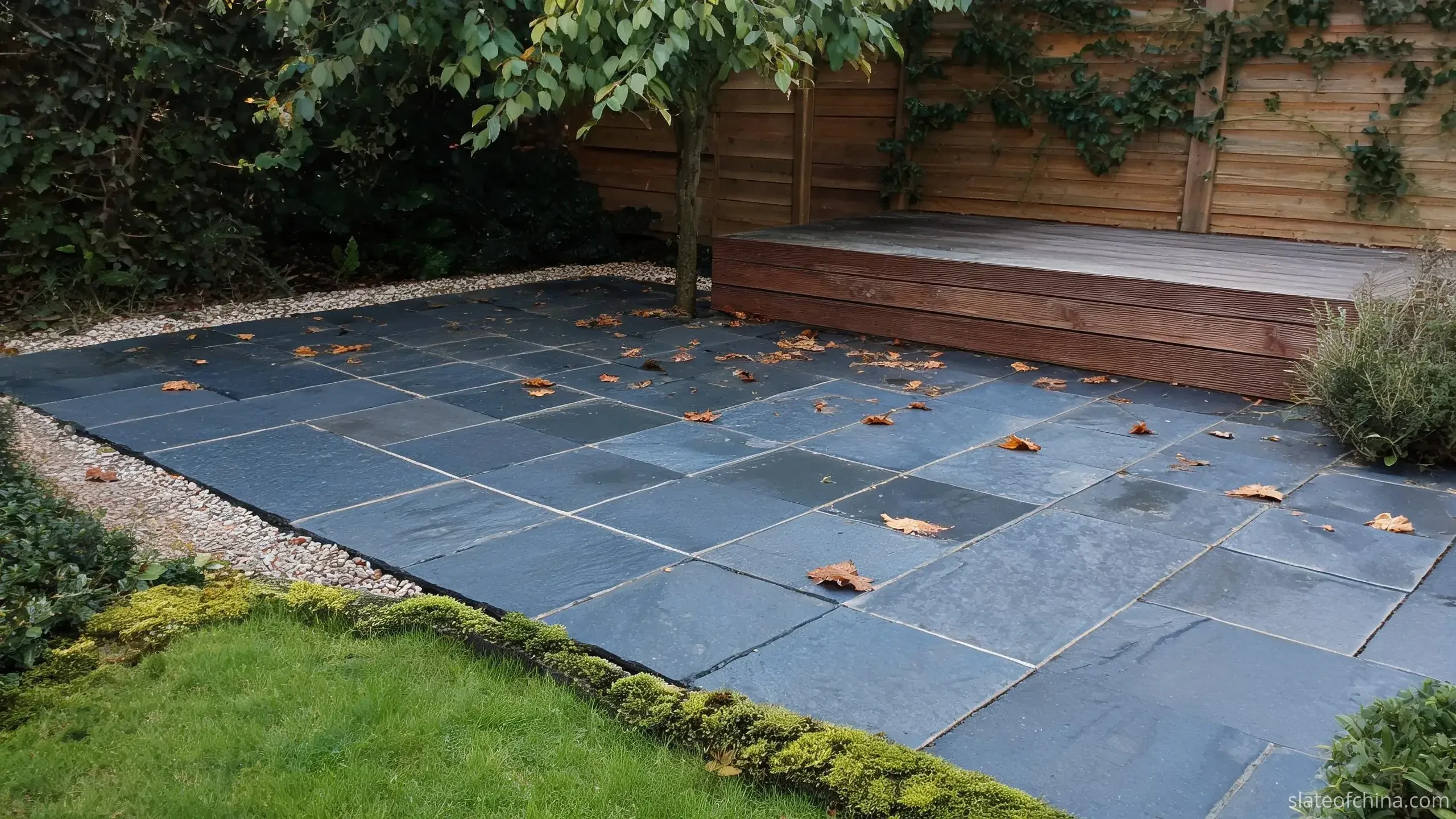 Why Jiujiang Slate Works for Paving 2 Shaded corner of a slate paved terrace on a damp autumn morning, blue-grey flags darker where damp lingers under a small tree, fallen leaves and faint moss in the joints, matte non-reflective surface