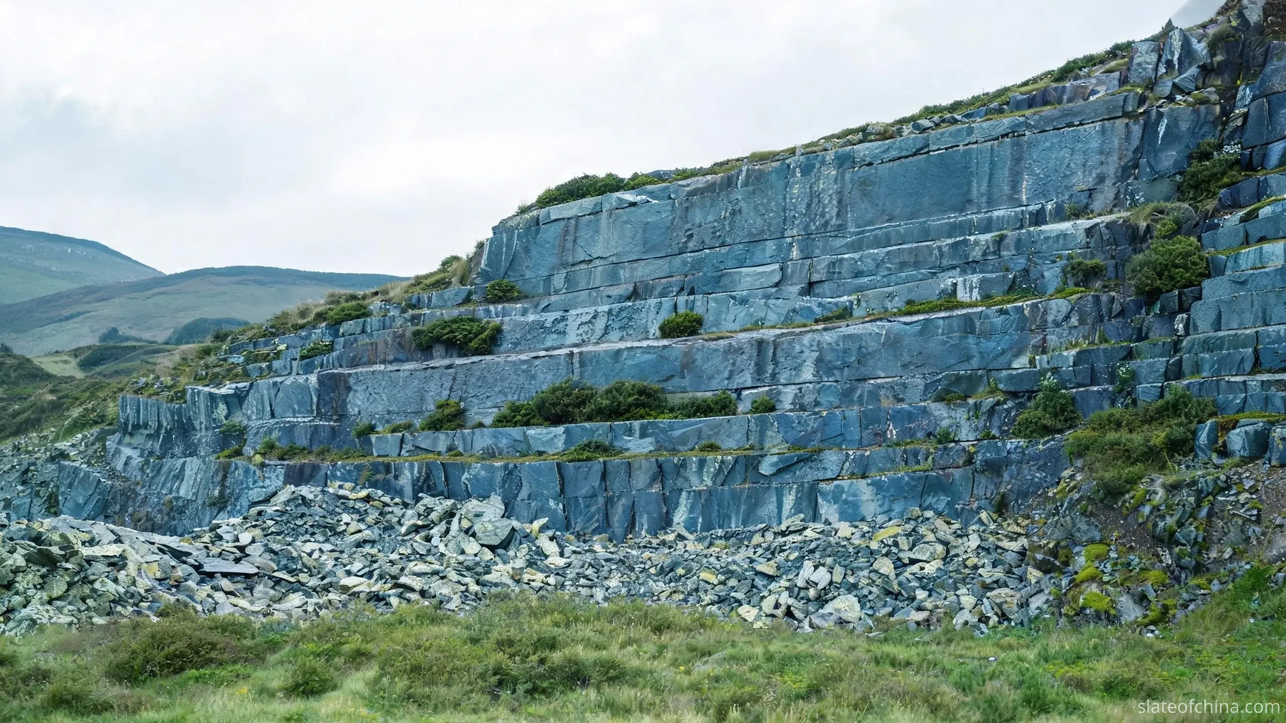 Slate Quarries and Processing in Jiujiang 3 Long-disused slate quarry face reclaimed by grass and scrub, natural bedding still visible