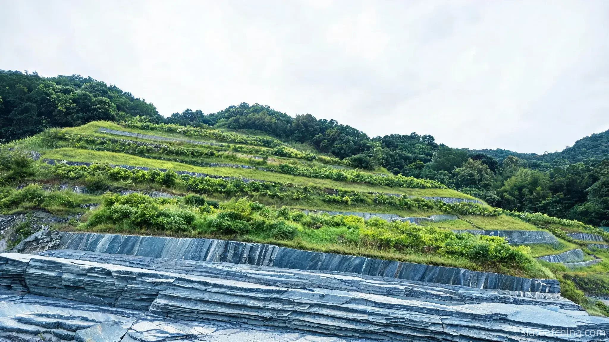 Sustainability of Slate Quarrying in Jiujiang 4 Hillside slate quarry with graded upper benches growing grass and young shrubs, a working bench of blue-grey slate still exposed below